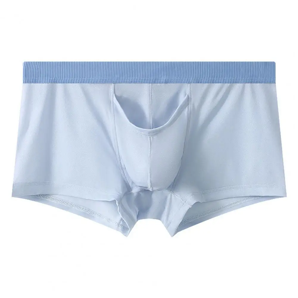 Calzoncillos de algodón para hombre, ropa interior con nariz de | Ropa de hombre · Omeda.es - Imagen 9