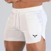 Pantalones cortos deportivos de verano para hombre, pantalones cortos | Ropa de hombre · Omeda.es