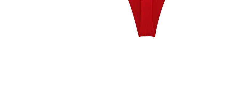 Tanga Sexy de cintura baja para mujer, ropa interior con Cinturón | Ropa de mujer · Omeda.es - Imagen 19